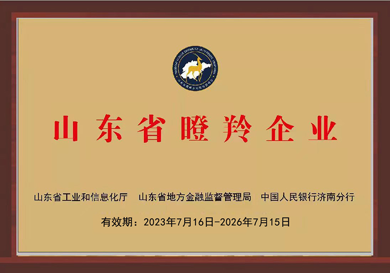 山東省瞪羚企業(yè)